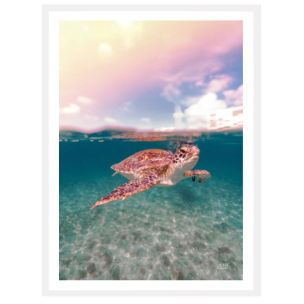 ABOVE AND BELOW - GLASS WHITE FRAMED ARTWORK 812X148