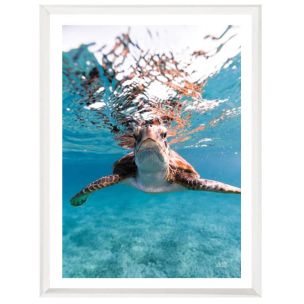 HELLO SEA TURTLE - GLASS WHITE FRAMED ARTWORK 812X148