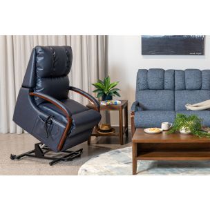 HARBOR TOWN BRONZE XL POWER LIFT- MUSHROOM/MAHOGANY ARM