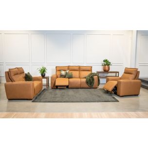 LAZBOY HARTFORD LEATHER COLLECTION