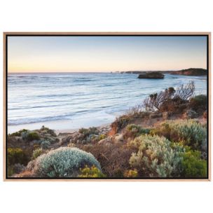 COASTAL HINTERLAND FRAMED CANVAS ART 700 X 1000
