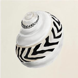 COASTAL TREASURE B - FRAMED CANVAS ARTWORK 700X700