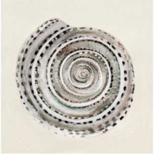 COASTAL TREASURE A - FRAMED CANVAS ARTWORK 700X700