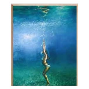 DIVER FRAMED CANVAS ARTWORK - 1295X915