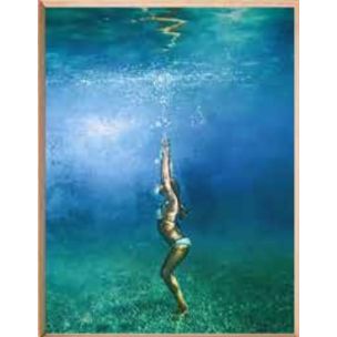 DIVER FRAMED CANVAS - 1400 X 1000