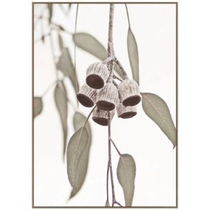 GUMNUT B ARTWORK 80X120