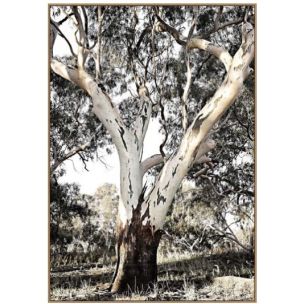 HABITAT B FRAMED CANVAS ARTWORK - 95 X 135