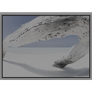 WHITE DRIFTWOOD ON BEACH ARTWORK 1230 X 1730