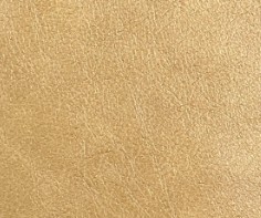 ATLANTIC- Coconut 200/81 Leather