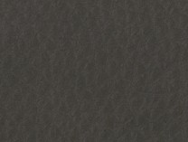 OSLO - Grey Leather - CAT-40/02