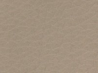 OSLO - Oyster Leather - CAT-40/08