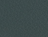 OSLO - Peacock Leather - CAT-40/09