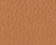 OSLO - Marmalade Leather - CAT-40/11