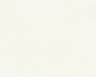 OSLO - Cotton Leather - CAT-40/13