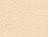 OSLO - Buff Leather - CAT-40/14