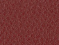 OSLO - Cranberry Leather - CAT-40/25