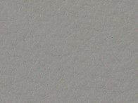 OSLO - Light Grey Leather - CAT-40/27