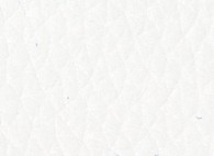 OSLO - Bianco Leather - CAT-40/28