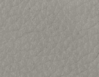 OSLO - Lead Grey Leather - CAT-40/31