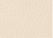 MONTANA - Cool Cream Leather - CAT-60/02