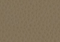 MONTANA - Barley Leather - CAT-60/06