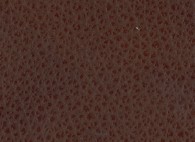 MONTANA - Butterscotch Leather - CAT-60/07