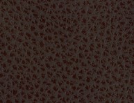 MONTANA - Chocolate Leather - CAT-60/08