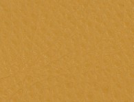 MONTANA - Sunburst Leather - CAT-60/10