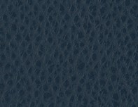 MONTANA - Ocean Leather - CAT-60/17