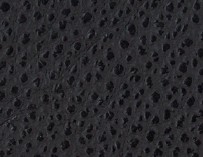 MONTANA - Jet Black Leather - CAT-60/22