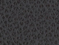 MONTANA - Charcoal Leather - CAT-60/25