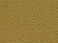 MONTANA - Mustard Leather - CAT-60/26