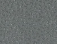 MONTANA - Granite Teal Leather - CAT-60/33