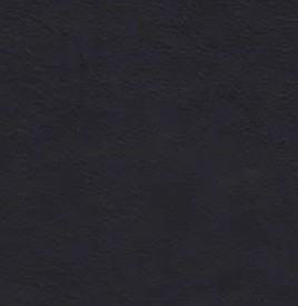 Prime Black Leather P301