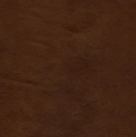 Sauvage Caramel Leather S556