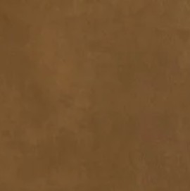 Sauvage Amber Leather S560