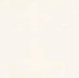 Trend Snow Leather T411