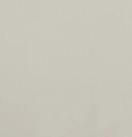 Trend Cinder Leather T417