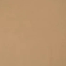 Trend Biscuit Leather T426